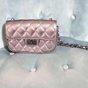 Metallic  leather bag.